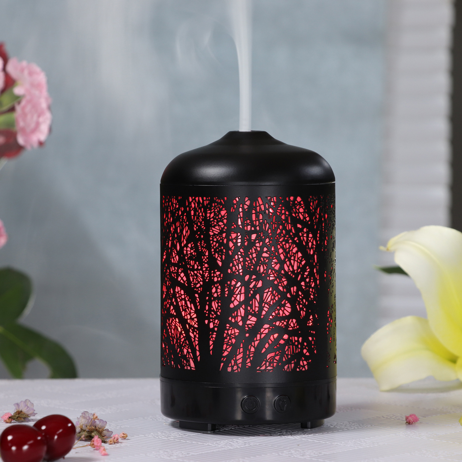 Iron Art Openwork Pattern Air Humidifier Aromatherapy Diffuser Aroma Essential Oil Nebulizer 100ml 